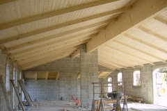 Lambris plafond