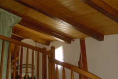 Lambris plafond