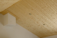Lambris plafond