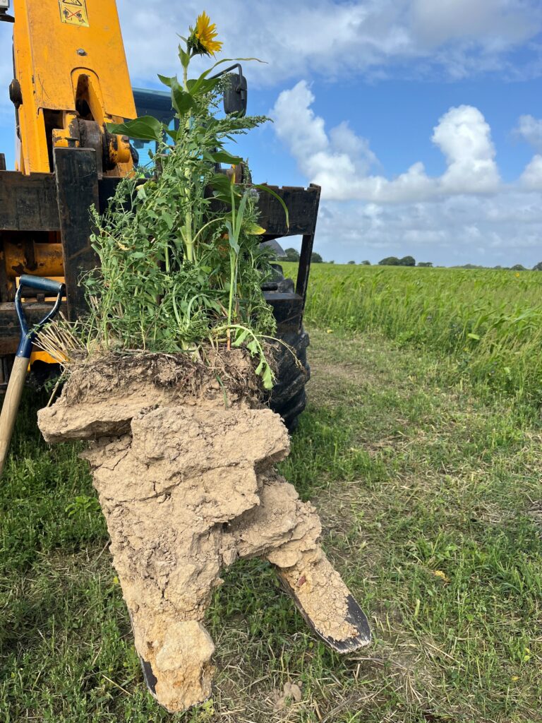 couverts méllifères