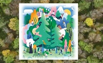 La forêt de demain ...