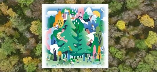 forêt de demain